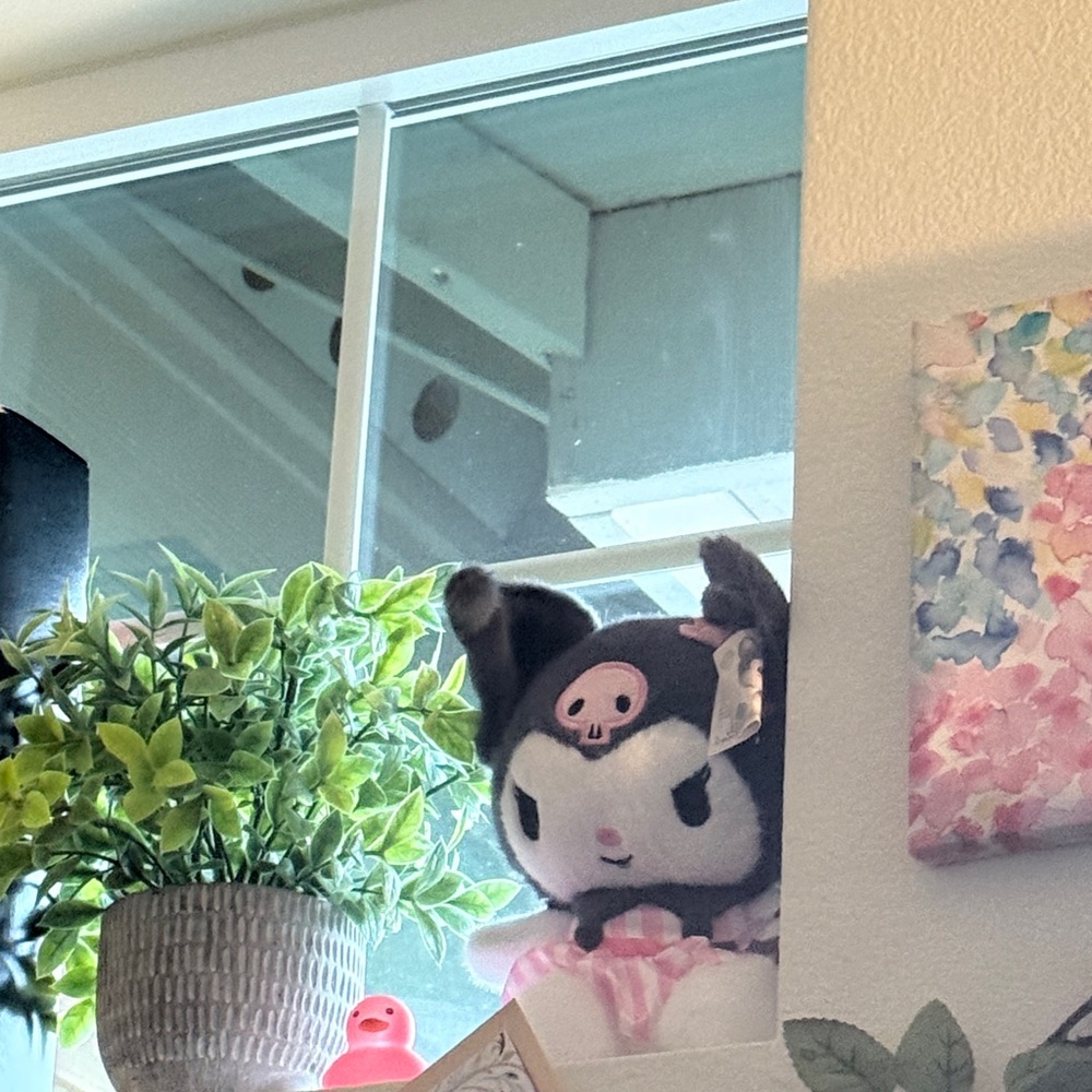 Cute Black and Pink Plush kuromi
